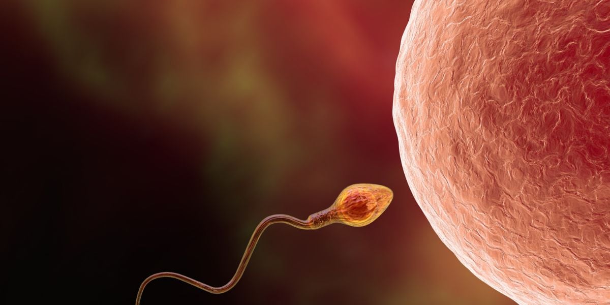 How Common Is Retrograde Ejaculation In Men?