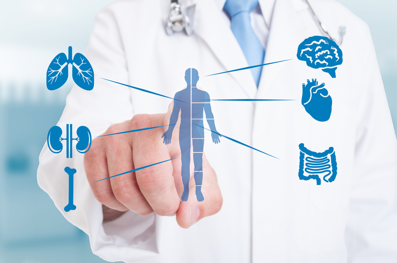 What is Alpha Lipoic Acid?