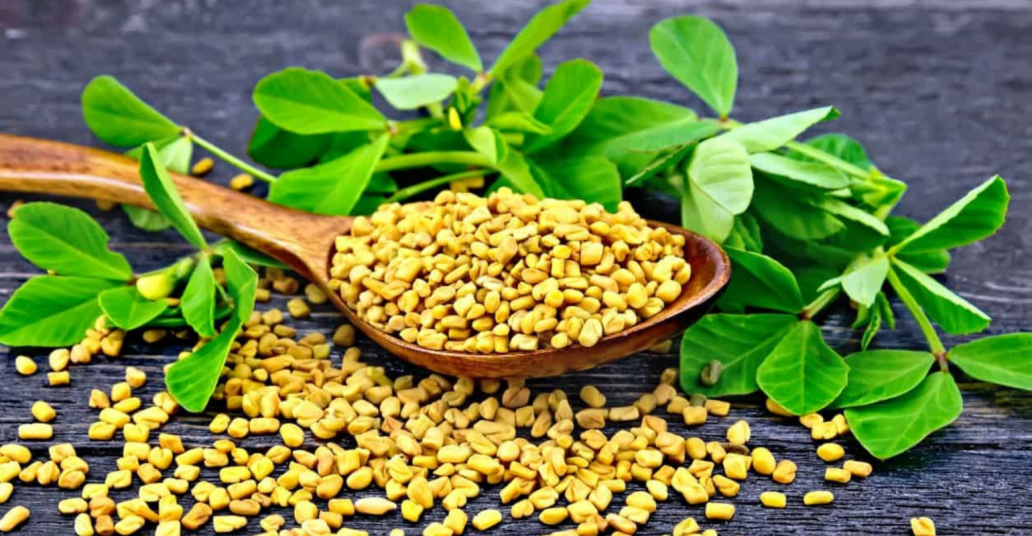 Fenugreek Seed Extract