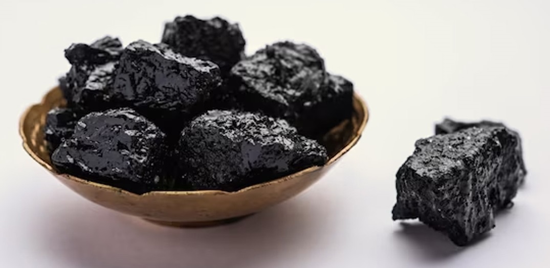 Shilajit Premature Ejaculation