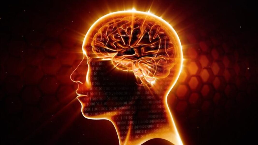 How to Get Rid of Brain Fog