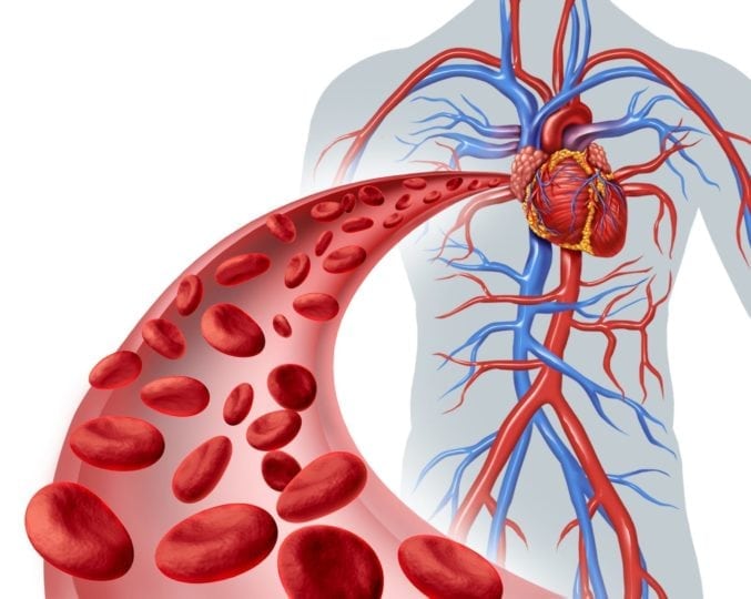 What Is Homocysteine?