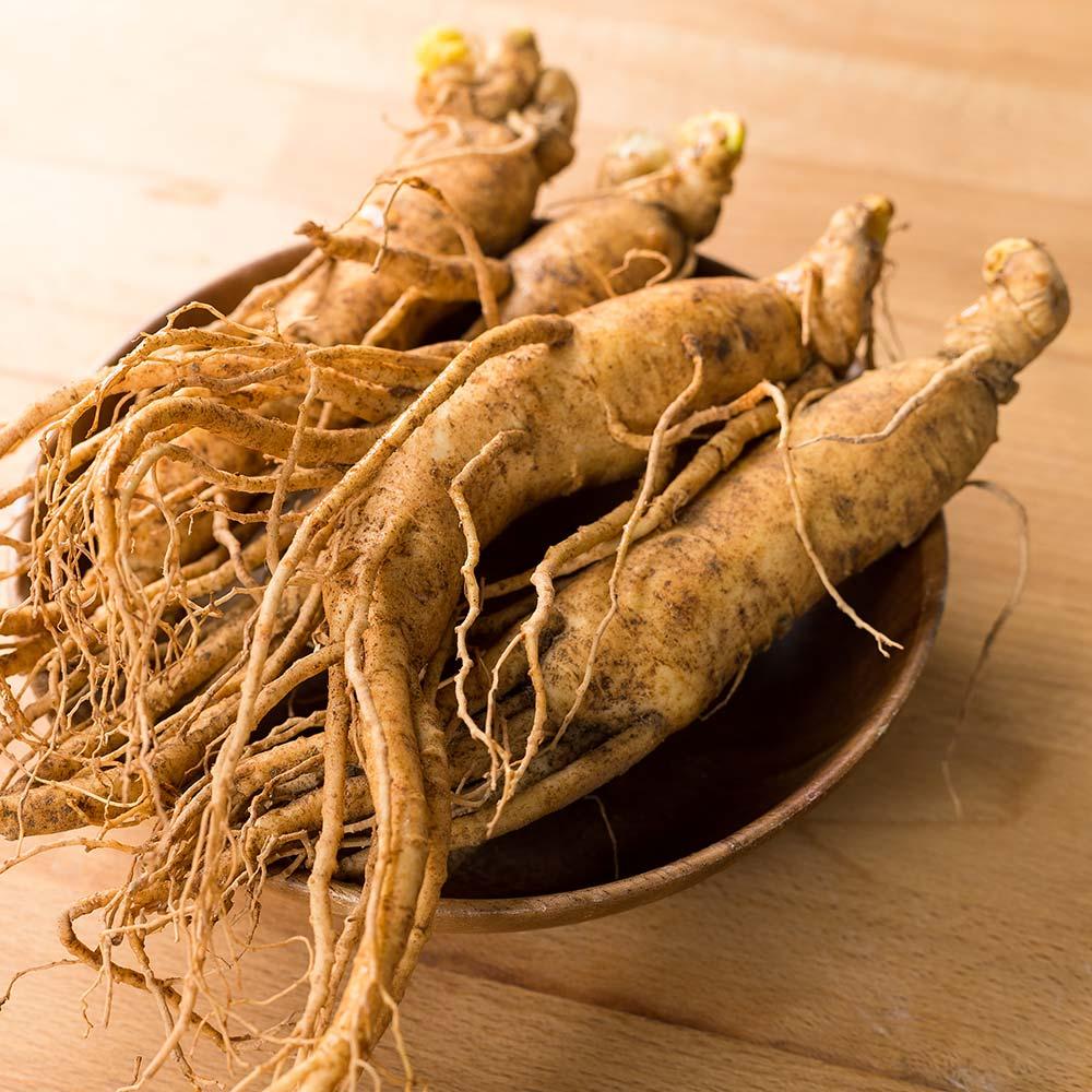 korean red ginseng