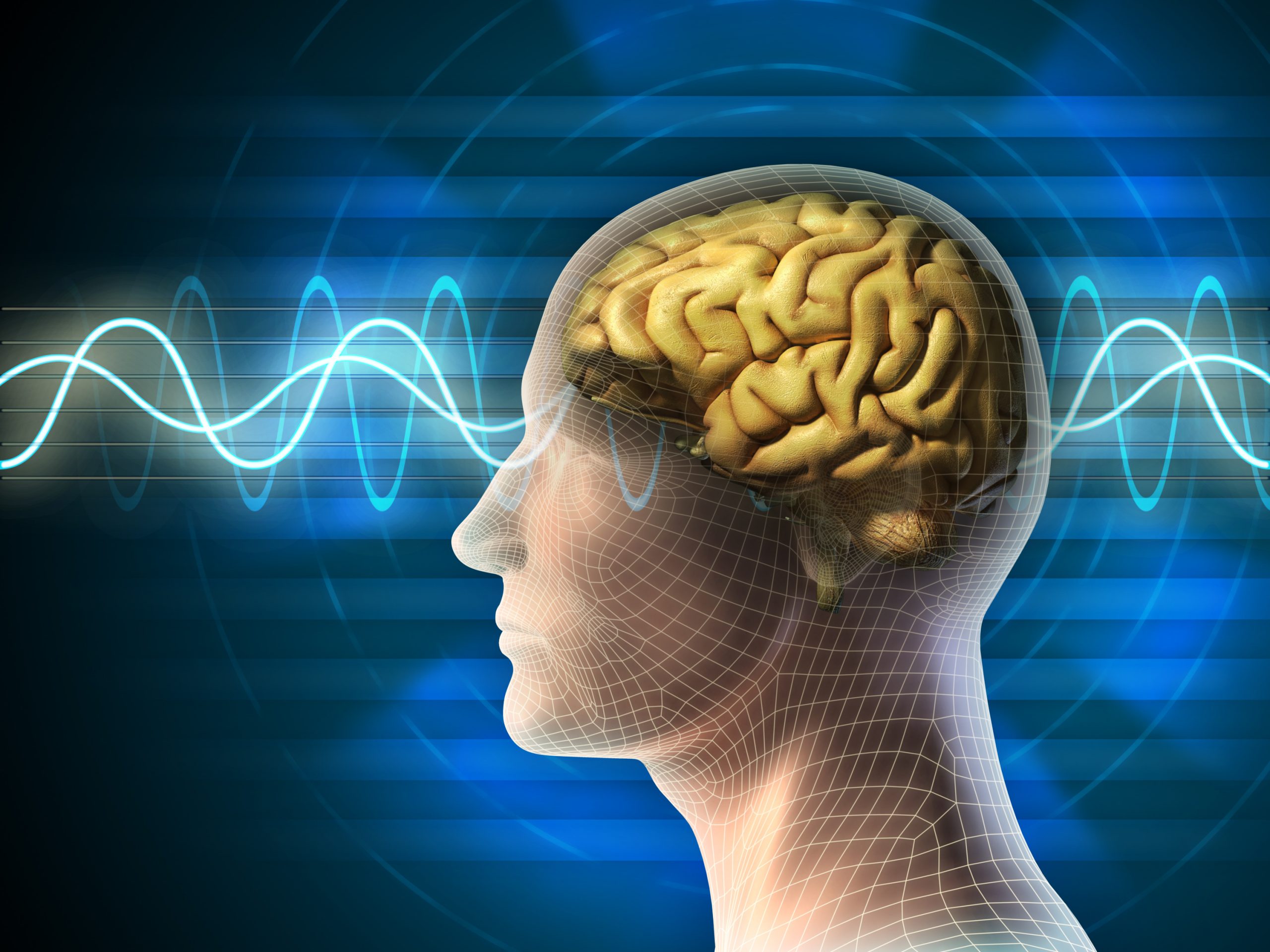 L-Theanine Health Benefits