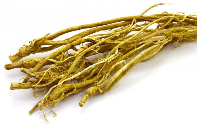 Astragalus Root Health Benefits